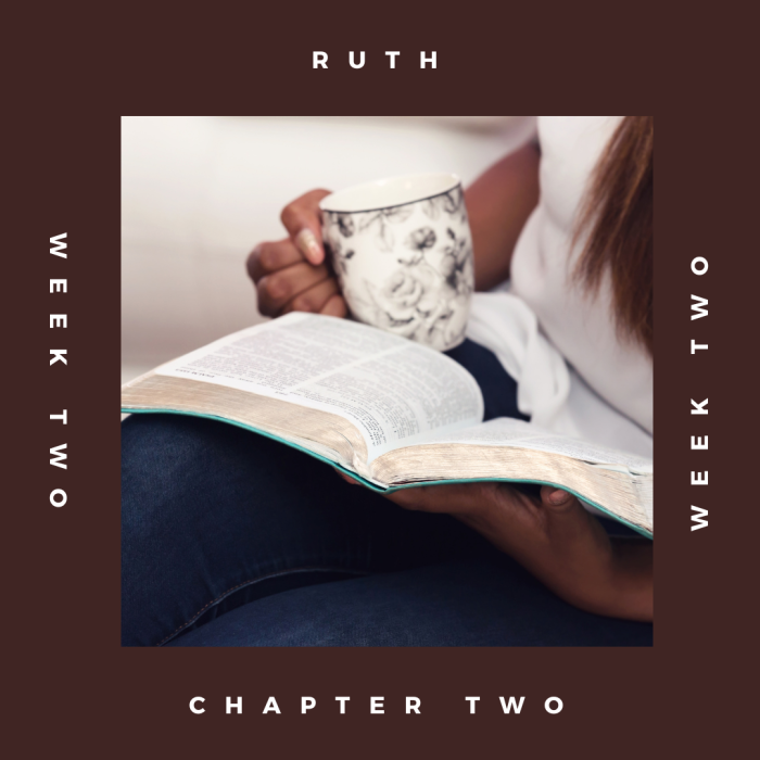 Ruth Chapter 2 Bible Study Summary and Questions