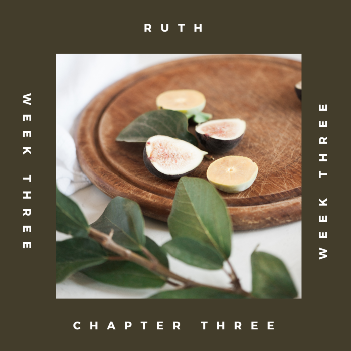 Ruth Chapter 3 Bible Study Summary and Questions